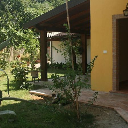 B&B Del Castagneto San Marco Argentano Ngoại thất bức ảnh